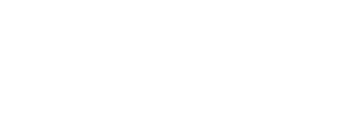 SLM DocX